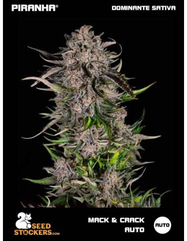 Mack & Crack Auto (3u)