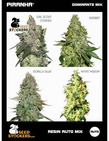 Resin Auto Mix (12u)