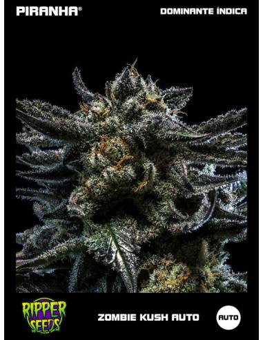 Zombie Kush Auto (3u)