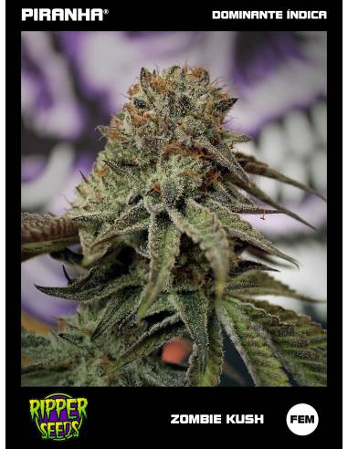 Zombie Kush (3u)