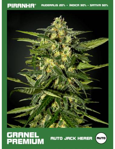 Auto Jack Herer