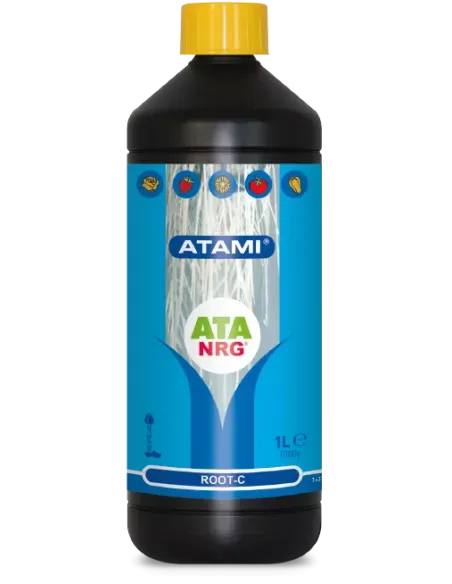ATA NRG Root-C...