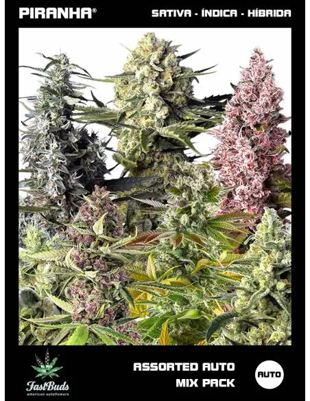 Assorted Auto Mix Pack (5u)