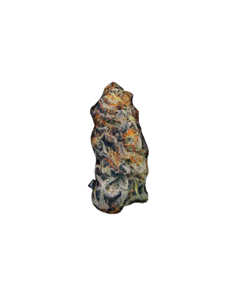 Almohada Pilloweed Cream...