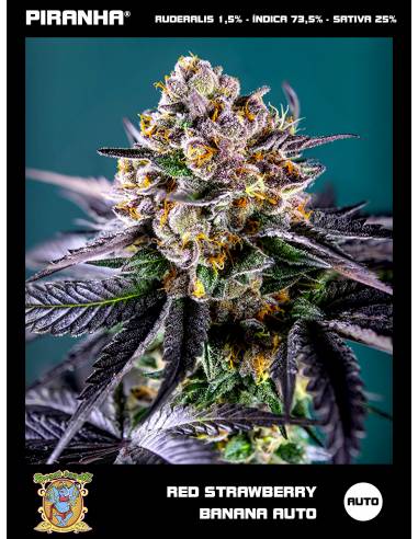 Red Strawberry Banana Auto (3+1u/5+2u)