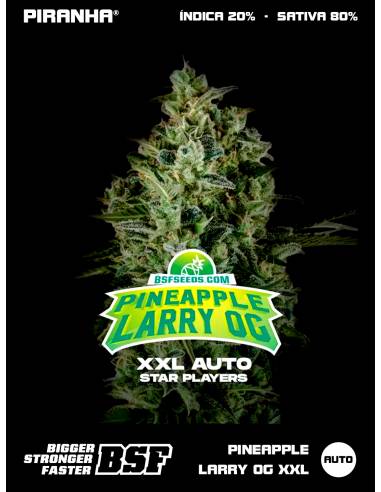Pineapple Larry OG XXL Auto...