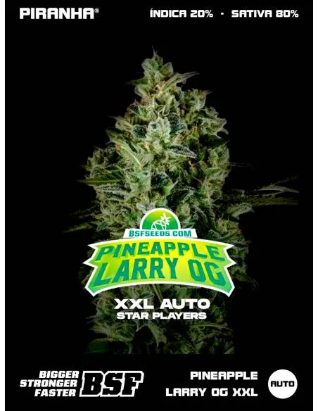 Pineapple Larry OG XXL Auto...