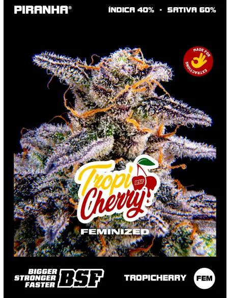 Tropicherry (2u/4u/7u/12u)