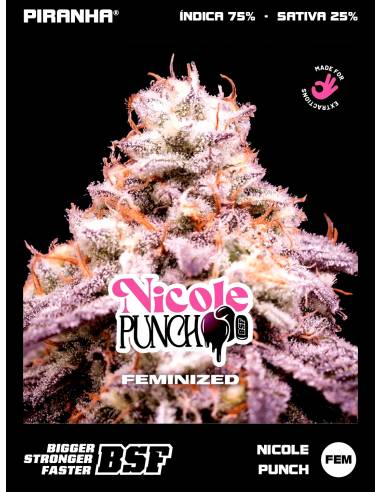 Nicole Punch (2u/4u/7u/12u)