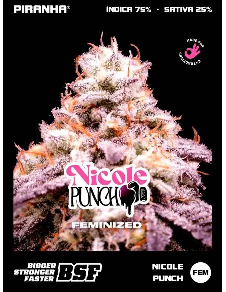 Nicole Punch (2u/4u/7u/12u)