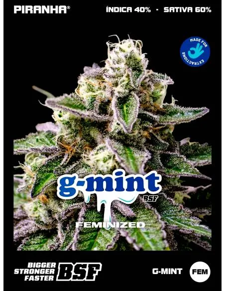 G-Mint (2u/4u/7u/12u)
