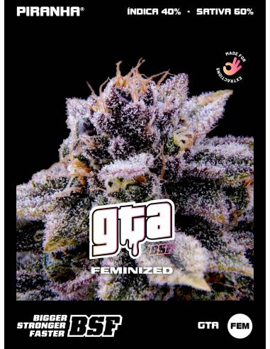 GTA (2u/4u/7u/12u)