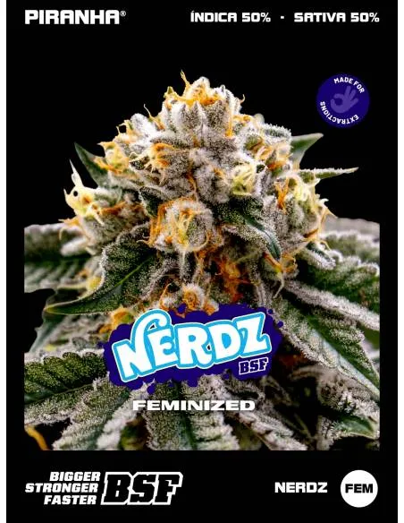 Nerdz (2u/4u/7u/12u)