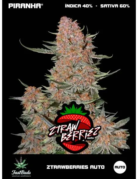Ztrawberries Auto (3+1u)
