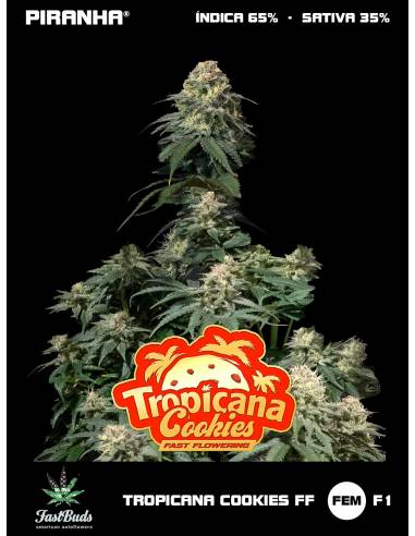 Tropicana Cookies FF (1u/3+1u/5+2u)