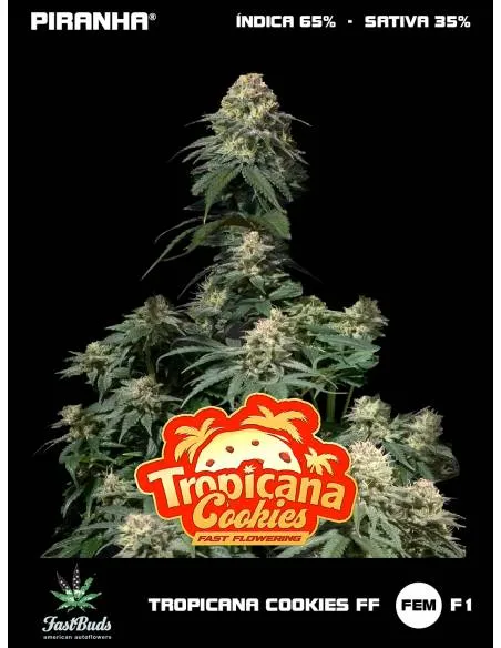 Tropicana Cookies FF...