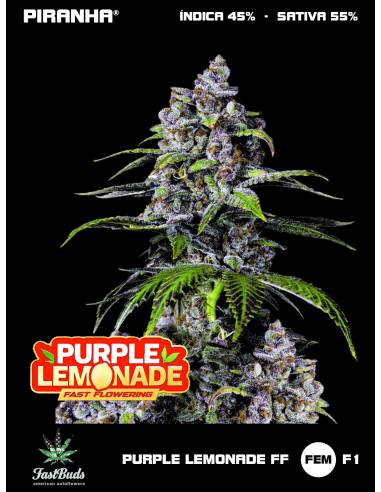 Purple Lemonade FF (1u/3+2u/5+3u)