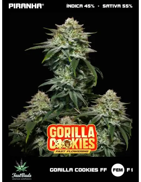 Gorilla Cookies FF...