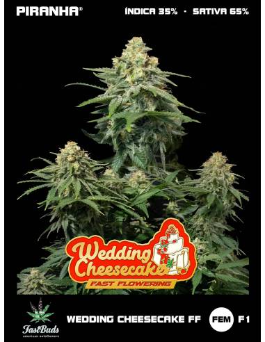 Wedding Cheesecake FF (1u/3+2u/5+3u)