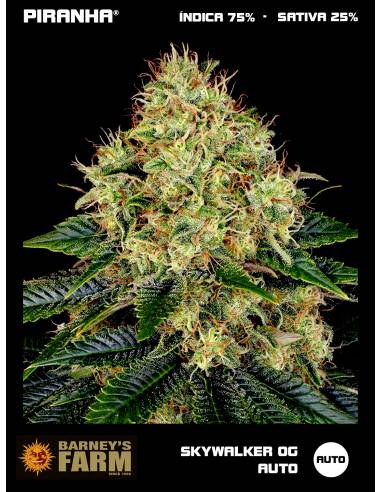 Skywalker OG Auto (3u)