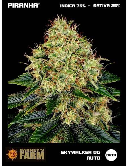 Skywalker OG Auto (3u)