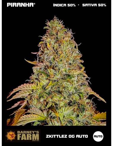 Zkittlez OG Auto (1u/3u)