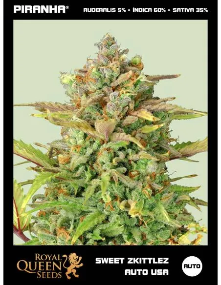 Sweet ZZ Auto USA...