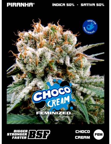 Choco Cream (2u/4u/7u/12u)