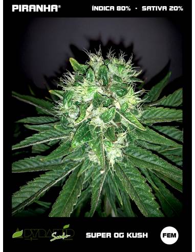 Super OG Kush (3+1u/5+2u)