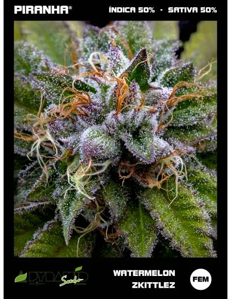 Watermelon Zkittlez...