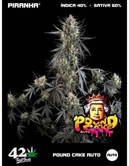 Pound Cake Auto  (3+1u)