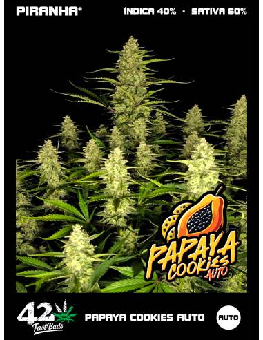 Papaya Cookies Auto (3+1u)