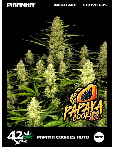 Papaya Cookies Auto (3+1u)