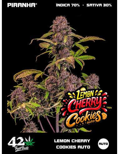 Lemon Cherry Cookies Auto (3+1u)