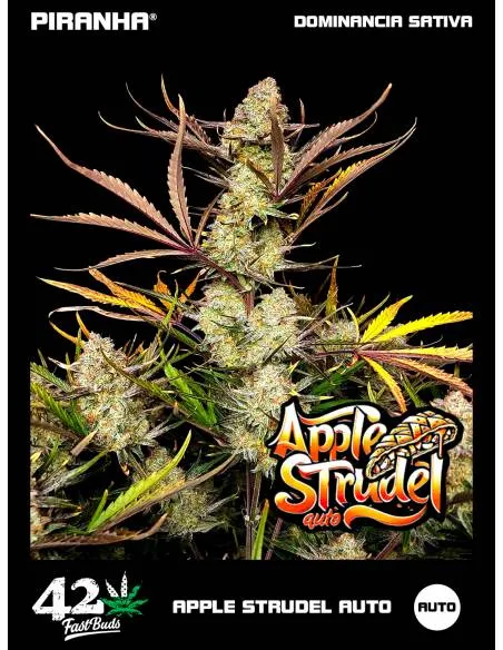 Apple Strudel Auto (3+2u)