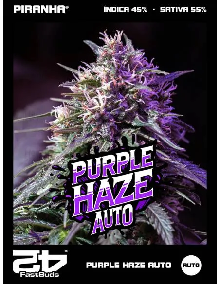 Purple Haze Auto (3+1u)