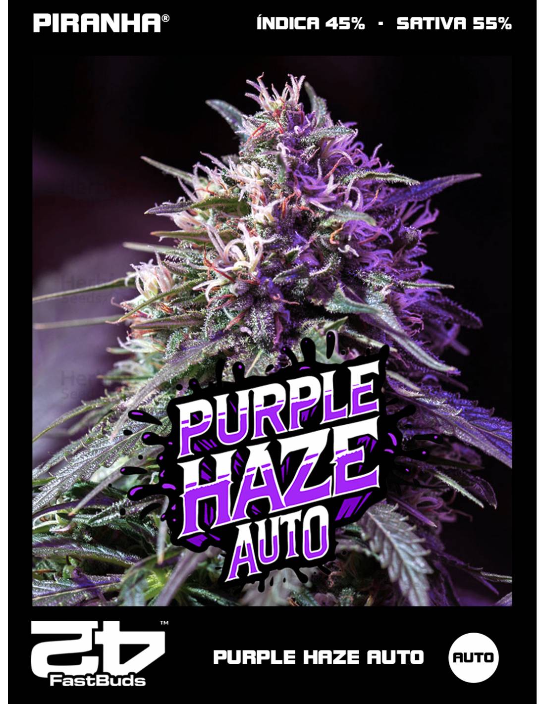 Purple Haze Auto (3+2u) | PIRANHA