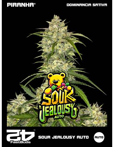 Sour Jealously Auto (3+1u)