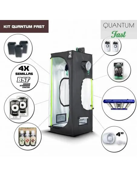 Kit Quantum Lite 60 -...