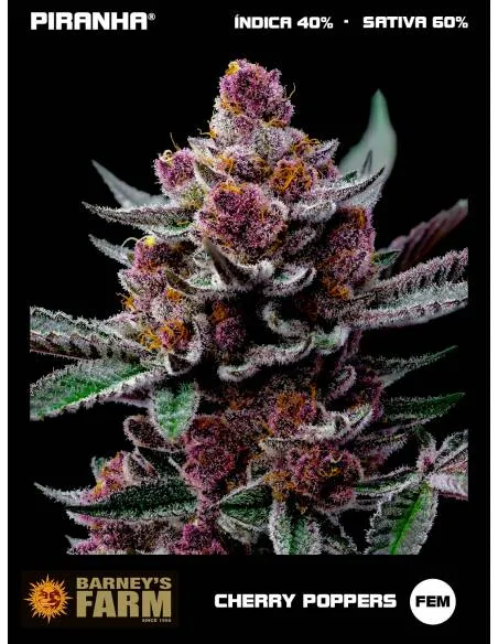 Cherry Poppers (3u)