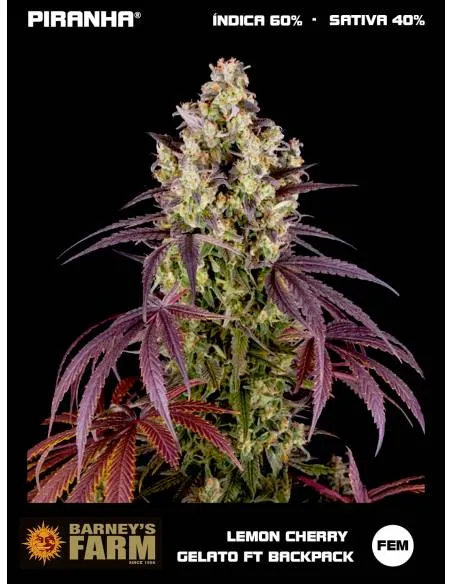 Lemon Cherry Gelato by...