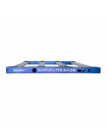 LED Delight New Quantum Lite QL240W