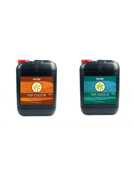 Top Coco A+B 20L