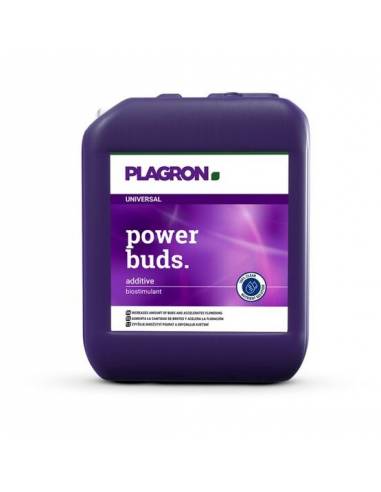 Power Buds 5L
