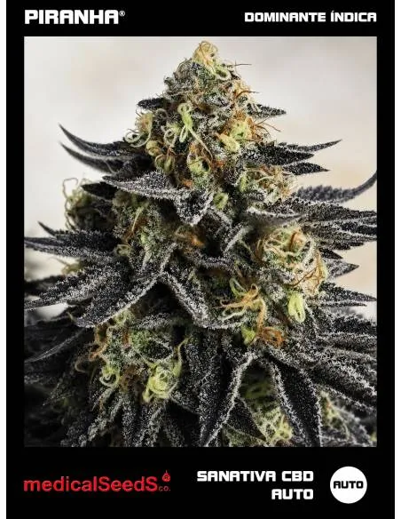 Sanativa CBD Auto (3u)
