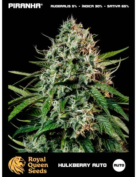 HulkBerry Auto (1u/3u)
