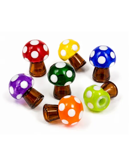 Carb Cap Fungi Collection...