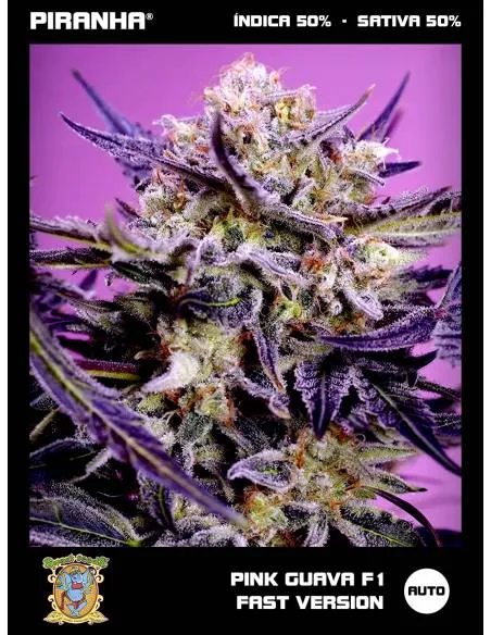 Pink Guava F1 Fast Version...