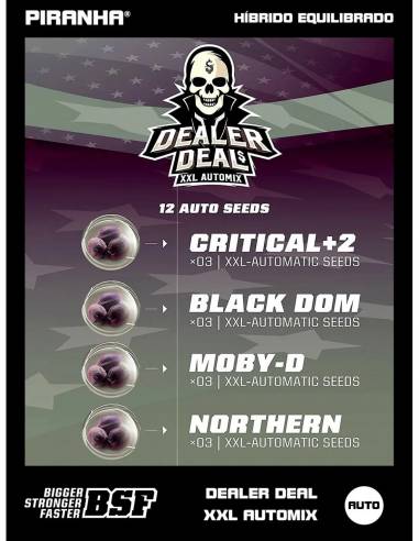 Dealer Deal XXL Automix (4u)