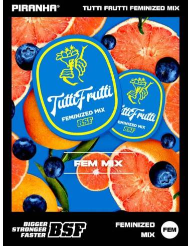 Tutti Frutti Feminized Mix (4u)